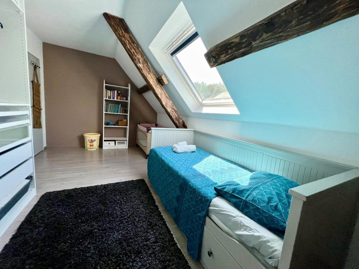 Superbe Appartement Duplex A Kaysersberg En Alsace 외부 사진