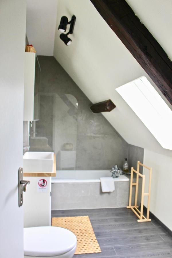 Superbe Appartement Duplex A Kaysersberg En Alsace 외부 사진